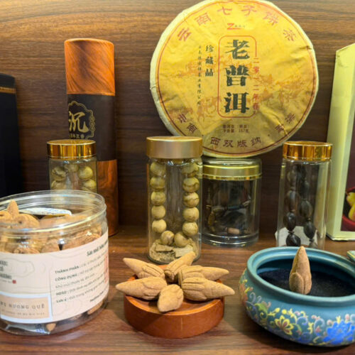 Nụ hương - Vị Quế - Dược Cổ Hương